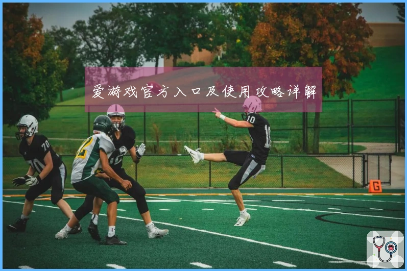 爱游戏官方入口及使用攻略详解