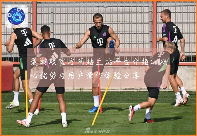 爱游戏官方网站主站平台介绍：核心优势与用户操作体验分享
