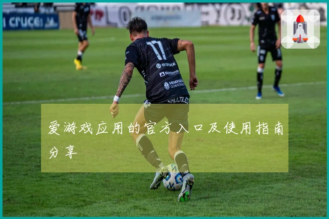 爱游戏应用的官方入口及使用指南分享