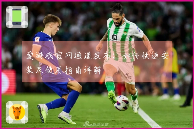爱游戏官网通道发布：如何快速安装及使用指南详解