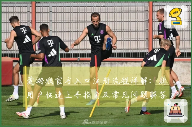 爱游戏官方入口注册流程详解：新用户快速上手指南及常见问题解答
